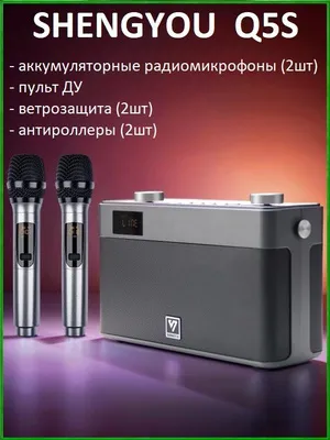 Bluetooth колонка Shengyou Q5S с 2 микрофонами