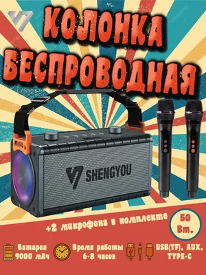 Bluetooth колонка Shengyou K8 PRO с 2 микрофонами