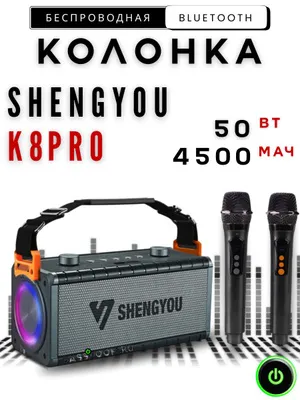 Bluetooth колонка Shengyou K8 PRO с 2 микрофонами